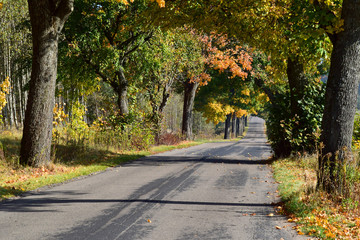 autumn landscape colours