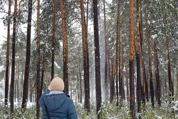 man walks in the coniferous forest in winter
