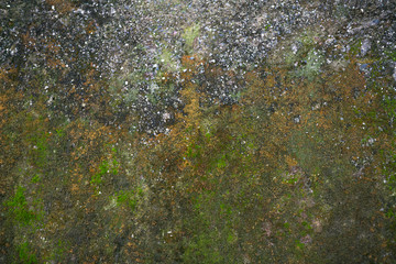 Background - the fragment of a concrete wall.