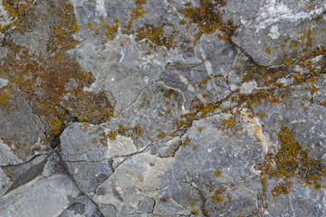 Textur Gestein Moos Flechten
