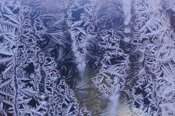 CLOSE UP: Spectacular ice flowers forming on the surface of a frozen lake.
