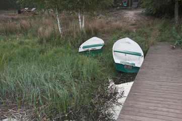 Bory Tucholskie © amadeusz