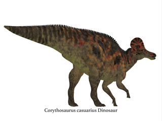 Obraz na płótnie Canvas Corythosaurus Dinosaur Tail with Font