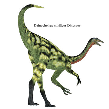 Deinocheirus Dinosaur Tail with Font