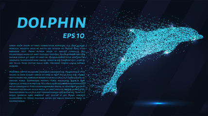 Obraz premium Delfin cząstek. Delfin składa się z okręgów i punktów. Ilustracji wektorowych