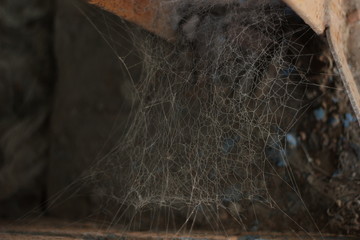 texture, abstract, old, web