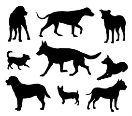 Dog silhouette, dog in different poses black dogs silhouettes isolated on white background