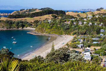 Fototapeta na wymiar Blick auf Palm Beach auf Waiheke Island, Neuseeland