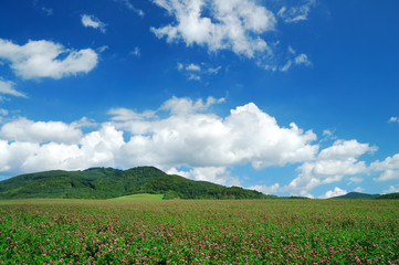 Landscape, view of green fields