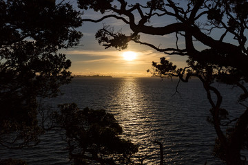 Fototapeta na wymiar Blick von Waiheke Island auf Auckland im Abendlicht, Neuseeland