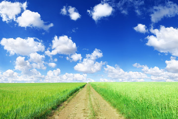 Fototapeta na wymiar Landscape, dirty road among green fields, blue sky in the backgr