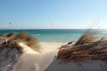 Dünenlandschaft bei tarifa in val de vaqueros, andalusien