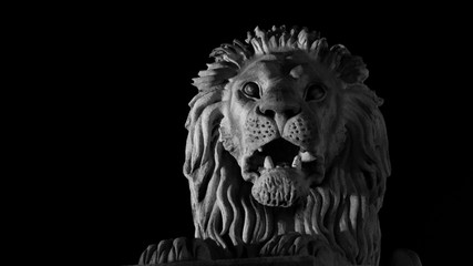 Lion on the Chain bridge (Szechenyi lanchid) across the Danube river in lights , Budapest ,Hungary