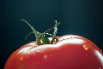 Close-up macro red tomato with a green stem on a dark background. Selective focus. 