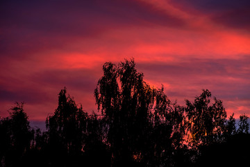 red sunset in the city, scarlet sky.