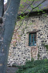 Fenster zum Garten