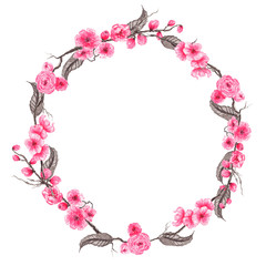 Hand drawn watercolor illustration. Botanical wreath of blooming sakura. Spring mood. Floral Design elements. Perfect for invitations, greeting cards, prints, posters, packing etc