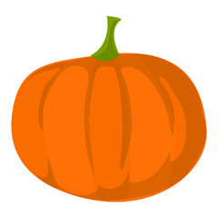 Pumpkin icon. Cartoon of pumpkin vector icon for web design isolated on white background