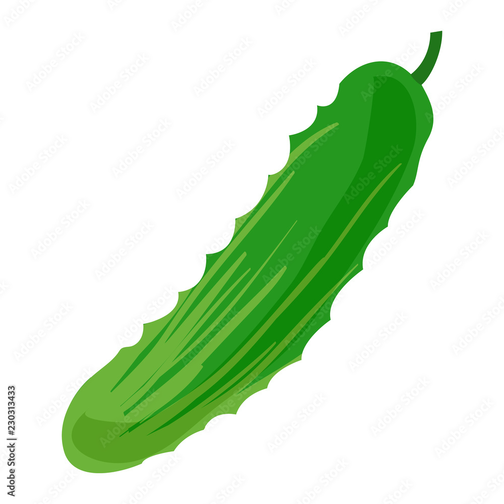 Poster cucumber icon. cartoon of cucumber vector icon for web design isolated on white background