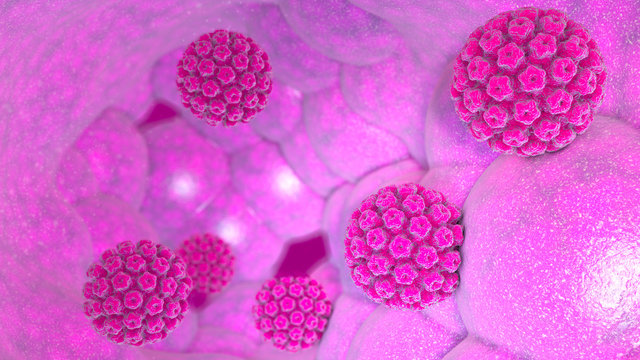 Papilloma virus umano, virus patogeno solo per l’essere umano. Infezioni da HPV sono diffuse e trasmesse per via sessuale. Famiglia dei Papillomaviridae, 3d rendering