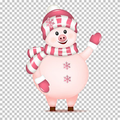 Christmas Pig, isolated