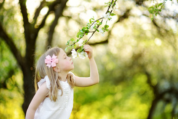 Adorable little girl in blooming apple tree garden on beautiful spring day.