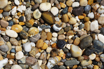 sea wet pebbles