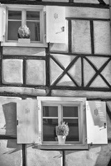 House plants on wooden windows with shutters. Details. Colmar, Alsace, France