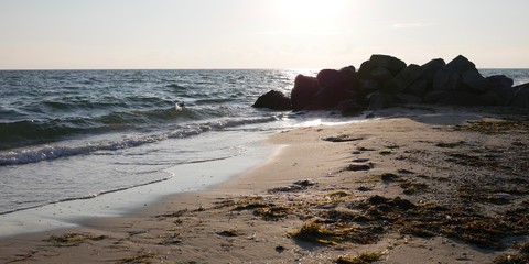 sea black