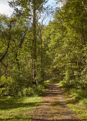 Fototapeta na wymiar The Conestoga Trail, a dirt path, in Lancaster Central Park, Amish Country, Lancaster, Pennsylvania, USA