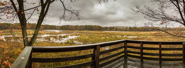 Overlooking a marsh during fall