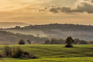 sunset over the field