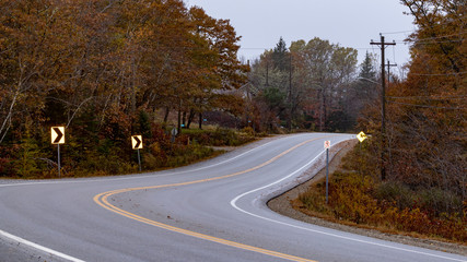 road in the forest