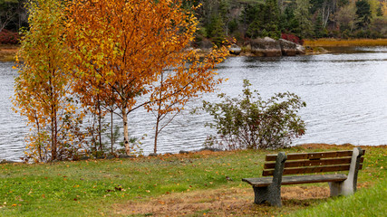 Obraz premium A lonely sexy bench waits by the river in autumn.