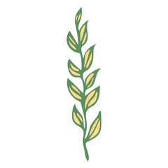 Hand Drawn vintage floral element decorative plant