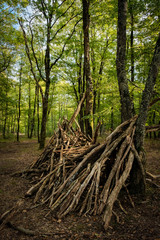 collapsed log hut in automn forest