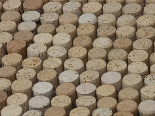 Many clean and logo-free wine corks are shown standing on display in a diagonal view.