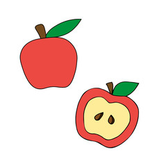 red vector apple in a cut. slice of apple. core with pits. Children's illustration
