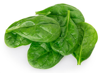 Fresh spinach on white background