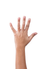 Obraz premium Female Hand Showing Number Five
