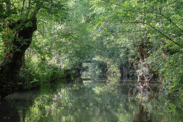 Marais Poitevin