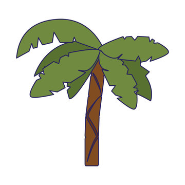 Palm tree cartoon