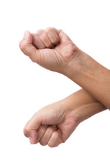 Hands Unity , Business background