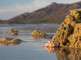 Sunset over low tide looking towards Gloucester Island