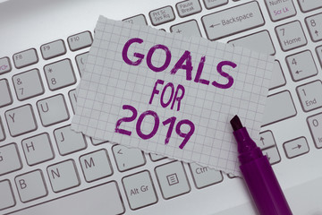 Conceptual hand writing showing Goals For 2019. Business photo text The following things you want...
