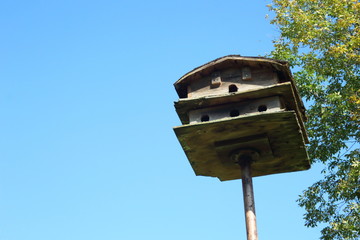 Mini Birdhouse on a pole high against a sky backdrop 
