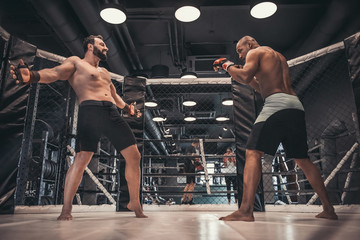 Wrestlers in the ring