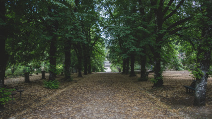 Jardim Bot&acirc;nico