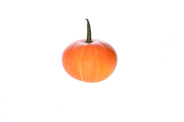 Pumpkin isolated on a white background