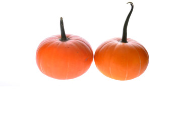Pumpkin isolated on a white background